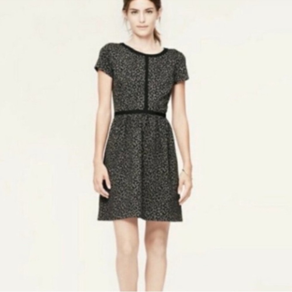 LOFT Short Sleeve Animal Print Knit Dress Gray Size 00 Petite
